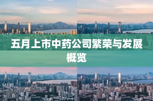 五月上市中藥公司繁榮與發展概覽